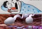 🛑 Studies reveal that swallowing your partner’s semen…Read More